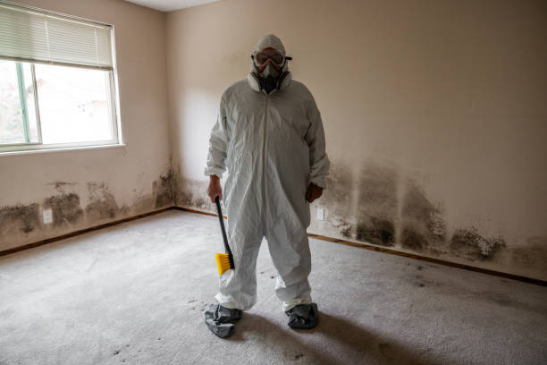 Mold Removal for HVAC Installations in Pahrump, NV